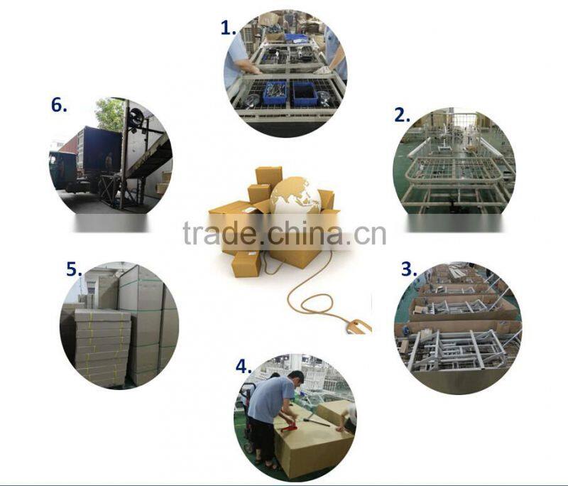 Professional Multi-Fuction Electric Hospital Nursing Care Bed