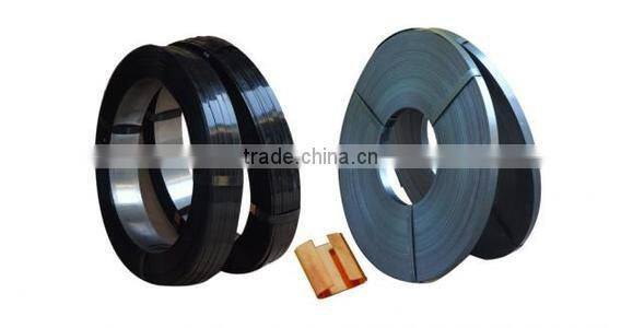 Steel Strip/Dark Blue Steel Strip/Strips in Price
