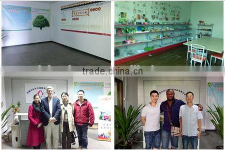 Hot sales environmental bamboo Charcoal products for Air Purification Product