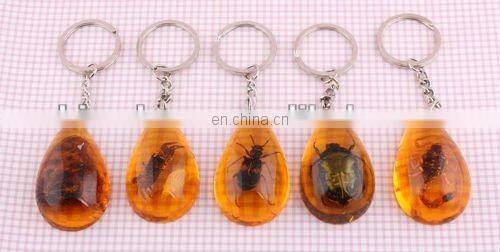 Luminous Real Insects Amber Keychain with Scorpion