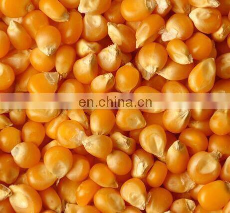 Gravity separator easy operation grain seed cleaning machine for sale