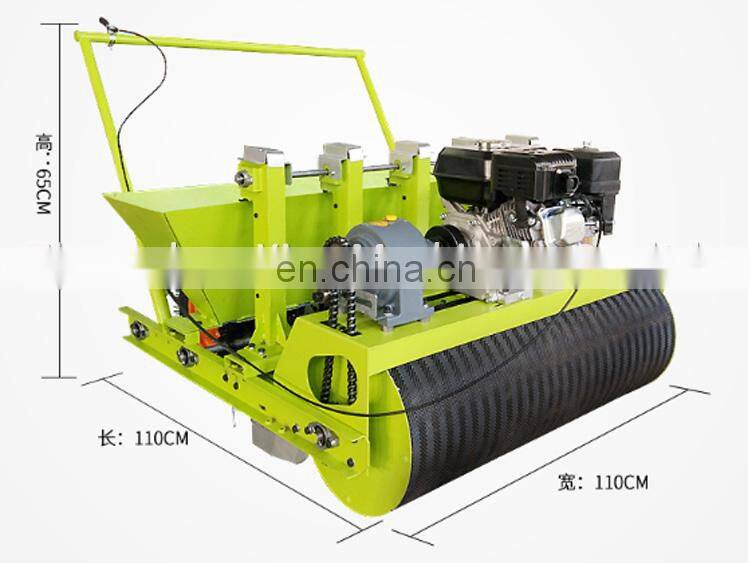 hand planter for garlic / Hand push garlic seeder / Garlic planting machine
