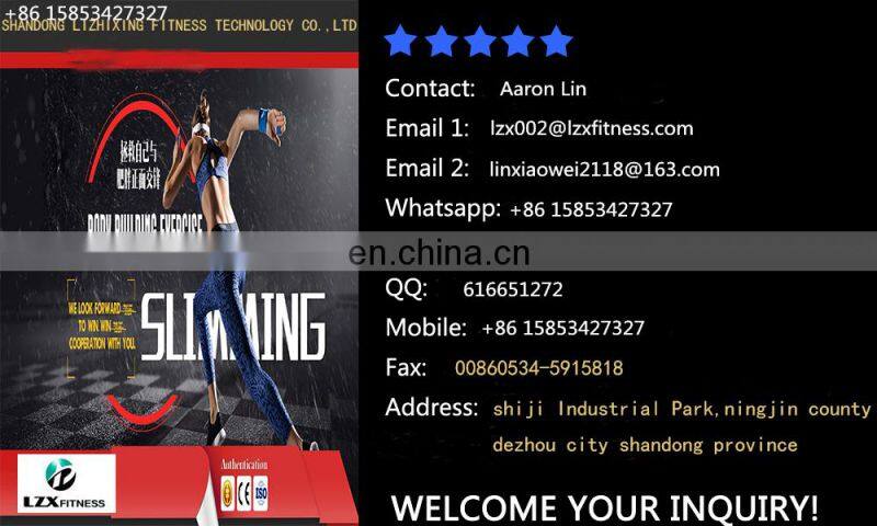 2020 Lzx gym equipment fitness&body building machine free weight hammer Adjustable Roman Chair