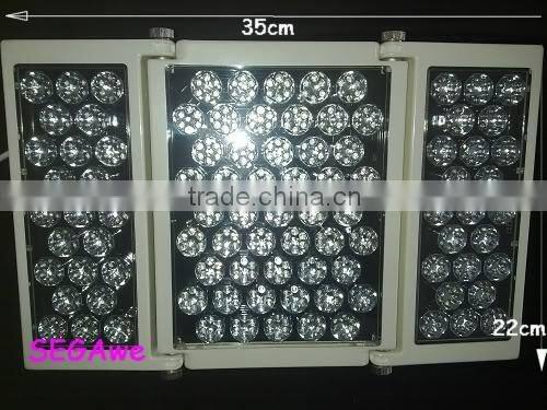 2015 hot sale Skin Rejuvenation Red Blue Yellow photon PDT Machine