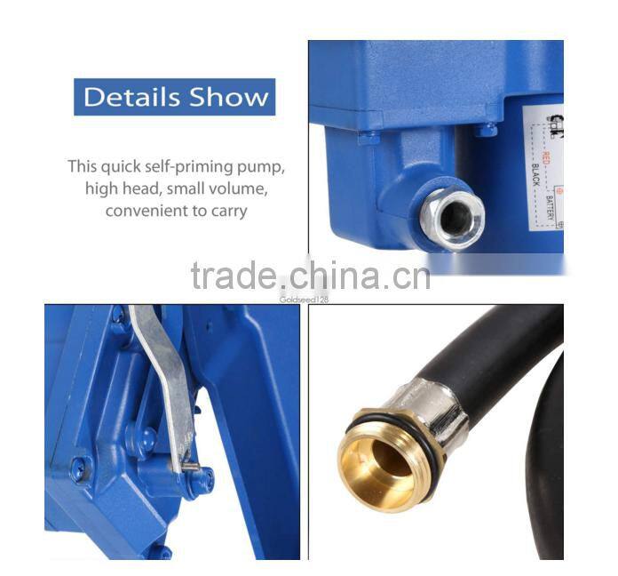 electric transfer pump unit with mechanical flow meter and delivery hose and fuel nozzle