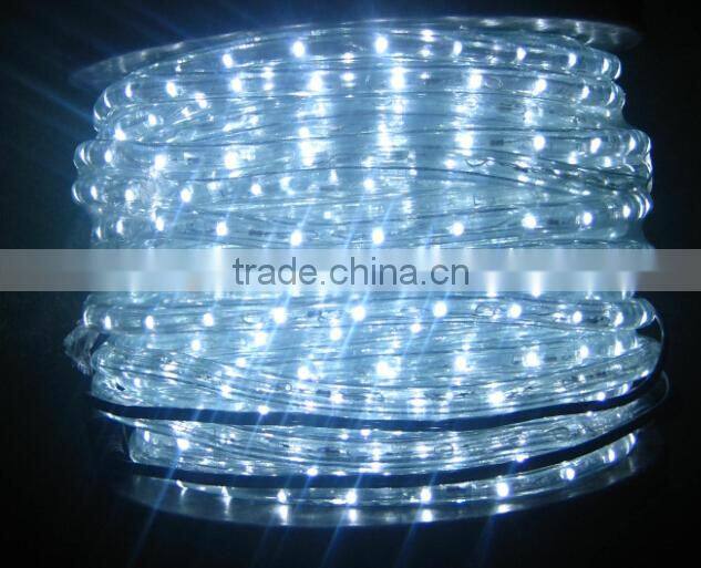 13mm 50m IP44 36leds per meter vertical white CE GS Rohs Led Rope