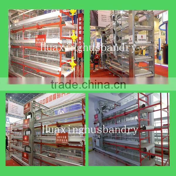 Animal Cages folding design layer chicken cages bird laying hens cheap A type chinese coop price poultry