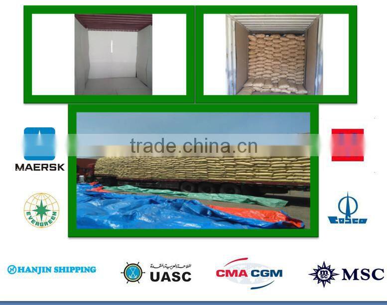 Export Green Pumpkin Seeds Grown without Shell GWS Supplier