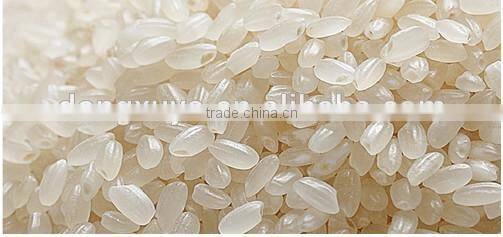 Instant rice/nutritional rice production line