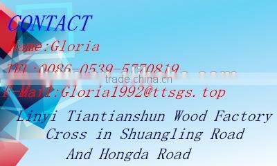 cheap veneer faced mdf door skin from China