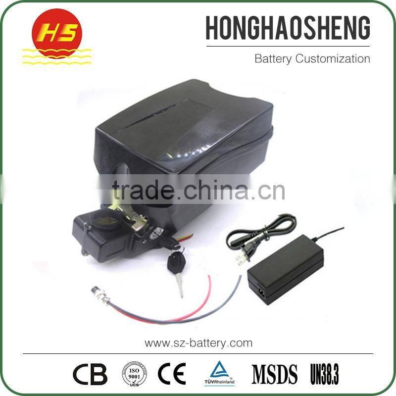 Rechargeable Lithium Battery 48v 20Ah Li-Ion E-Bike Battery Pack 48 Volt 1000w with F rog Case