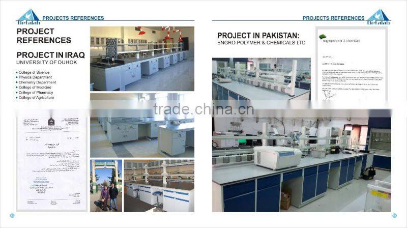 2015 HOT Sale Chemical Laboratory Safety Storage Cabinet