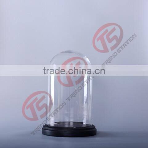 glass cloche bell jar with black MDF base