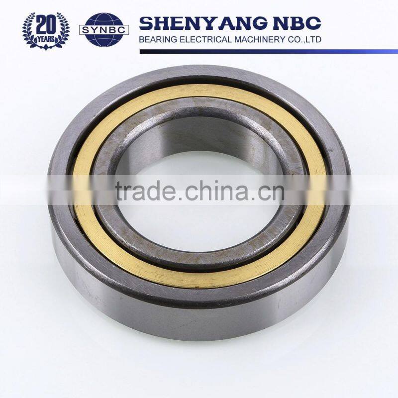 Wholesale China Unusual Cylindrical Roller Bearings Rolling Bearing