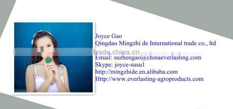 Waterproof Texture Paint for Exterior Finish