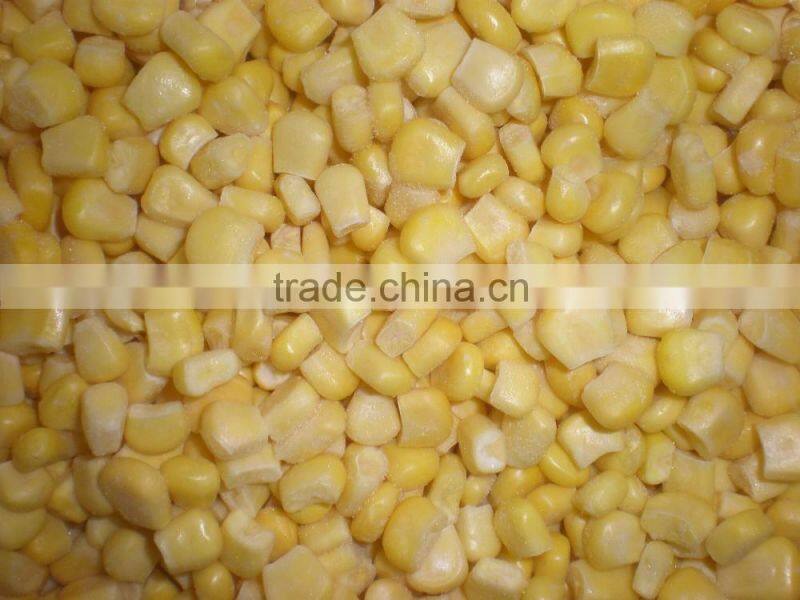 IQF frozen chinese yellow corn sweet corn on cob