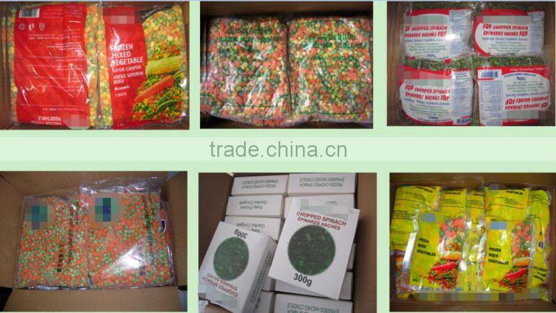 High Qulity Dry Squid for Sale