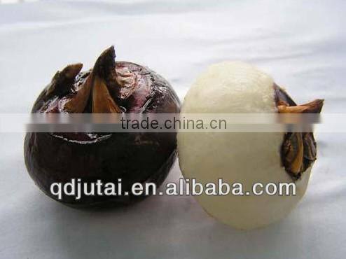 567g Canned Water Chestnut in tin