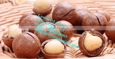 macadamia nuts opening machine/kindal opening machine/queensland nut cracker