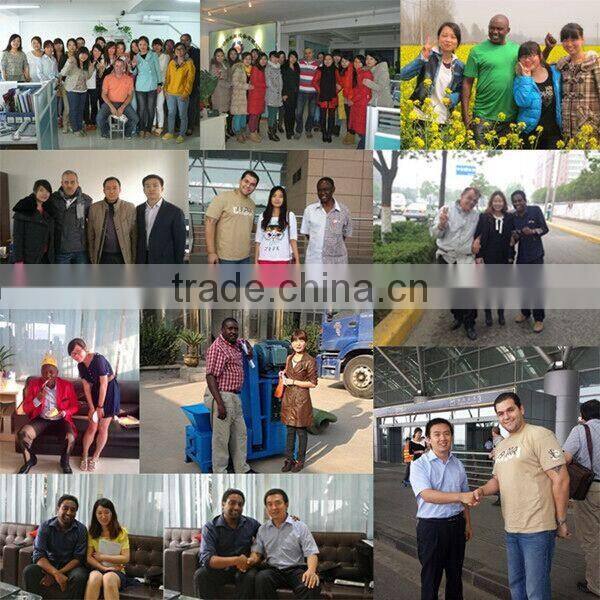 Hot Selling Mutton Dicing Machine Frozen Meat Cube Cutting Machine