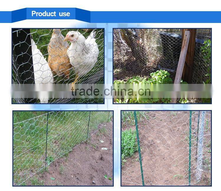 useful electric-galvanized hexagonal wire mesh