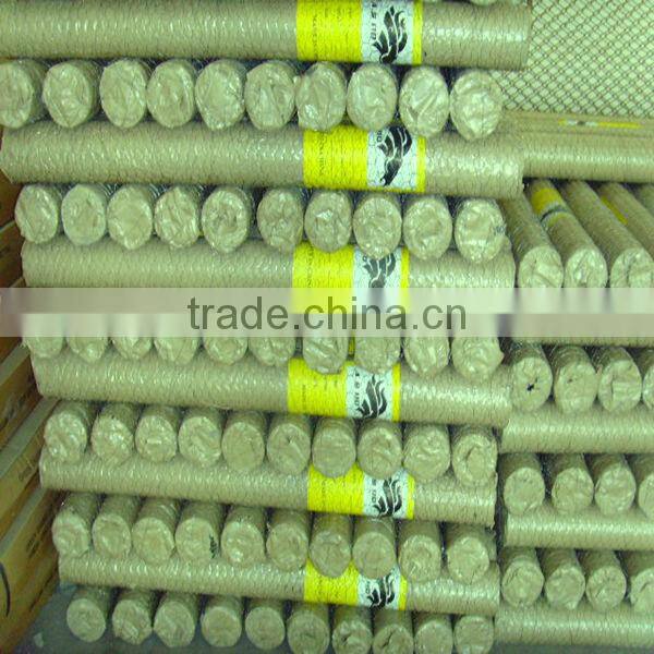 hexagonal electro-galvanized wire mesh