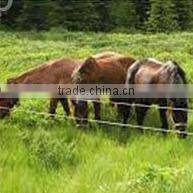 Electric poly wire fencing POLYWIRE ROLLS made from UV treated pe monofilament yarn