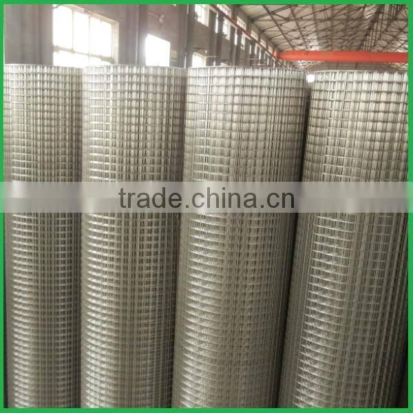 Fence netting/sheep wire mesh fence/2x2 galvanized welded wire mesh for fence panel