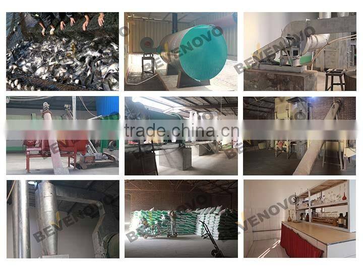 Make Anchovy Fish Meal Production 65% Protein