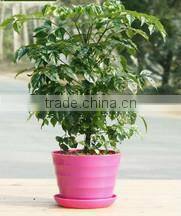 15040113 melamine cake plate/ fruit melamine plate ware/dessert melamine plate