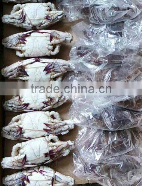 Blue Swimming Crab For Sale