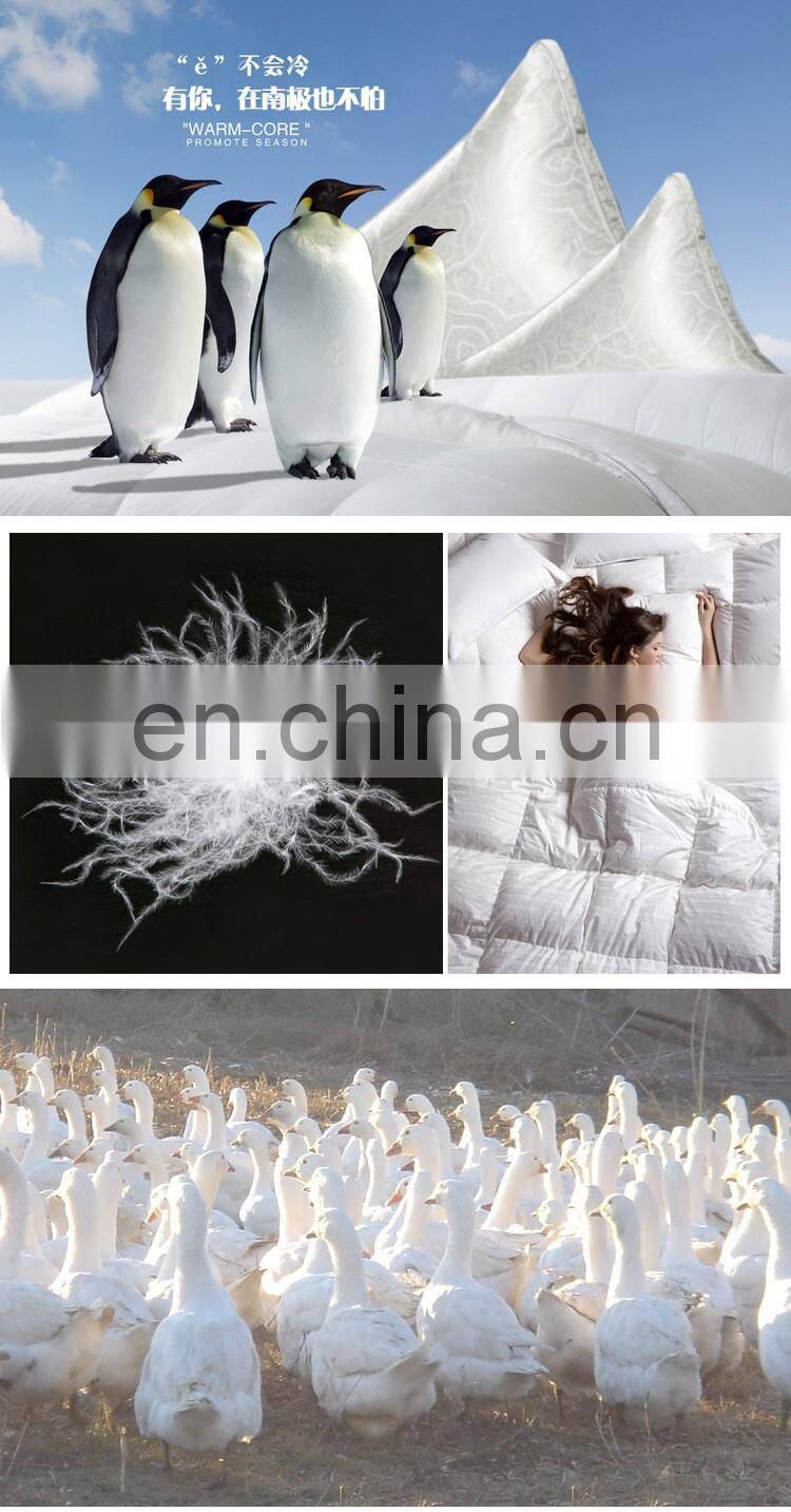 USA-2000 Grade A 80/20 white duck down big down cluster high filling power, cleaness, odorless, whole sales