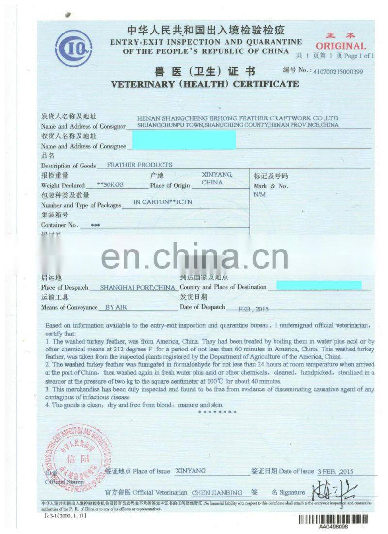 white masquerade party mask with cock feather