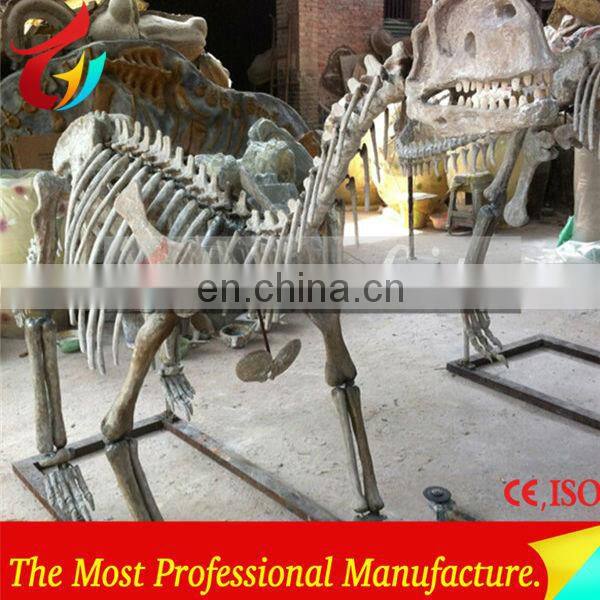 High Quantity Animal Skeletons Fossil In Big Discount