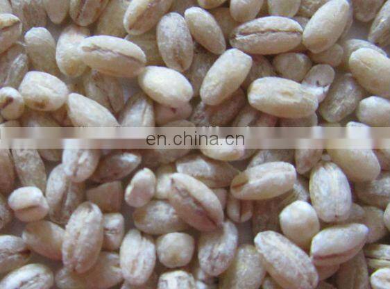 Hot Selling wheat peeling machine/wheat skin peeling machine/spelt peeling machine