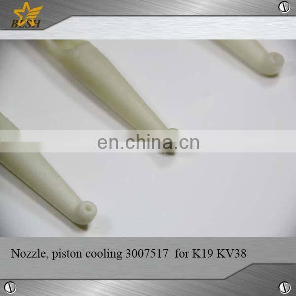 100% original diesel engine PARTS piston cooling nozzle 3007517 for CUMMINS K19