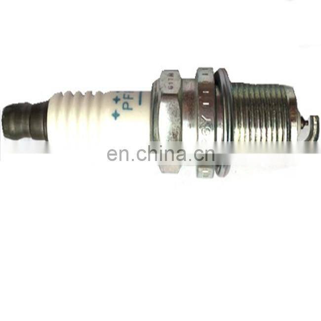 10099079 High Performance Auto Platinum Power Spark Plug For Car