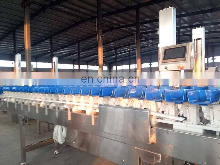 Automatic weight sorting machine for chicken / fish /seafood / fruit