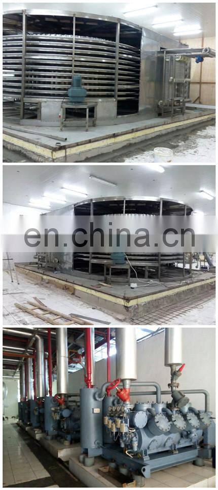 High quality and efficient single spiral freezer for fish seafood
