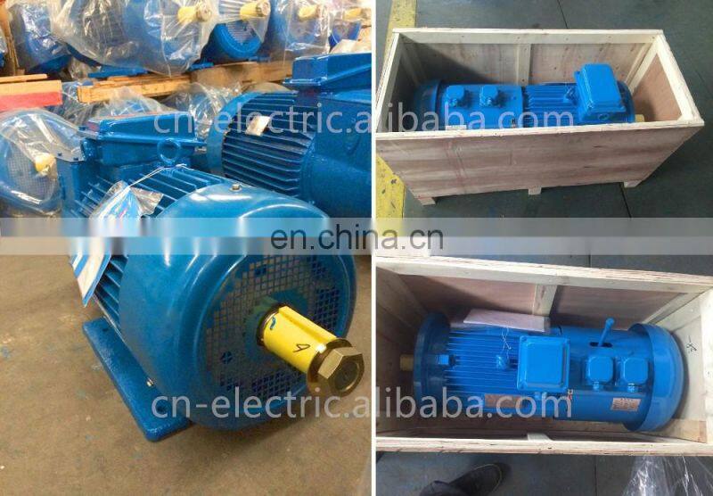 S3 Duty Tower Crane three phase electric motor