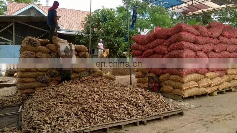 Fresh Ginger from Vietnam