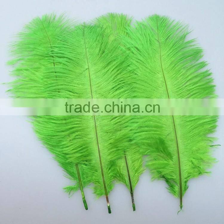 Dyed Ostric Feather, Feather ostric plumes for Carnival costumes