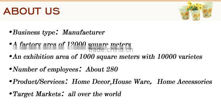 New arrival Jardin theme metal water bucket with hot selling