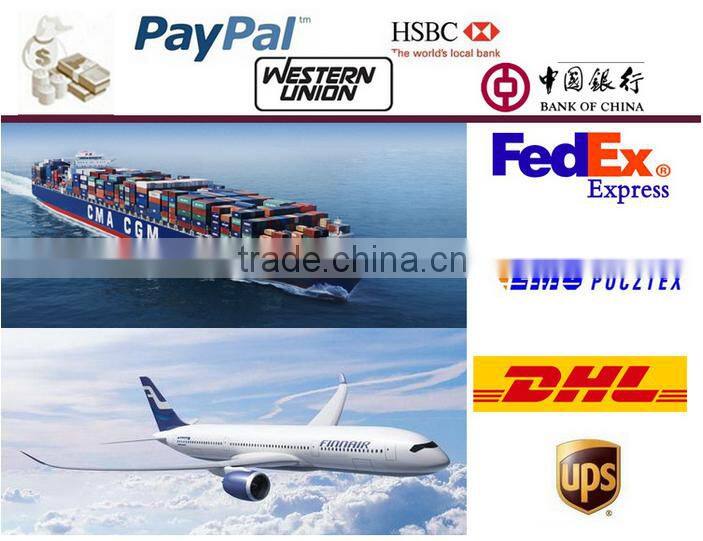 private label oem fashion luxury chinese wholesale automatic skeleton wristwatch man