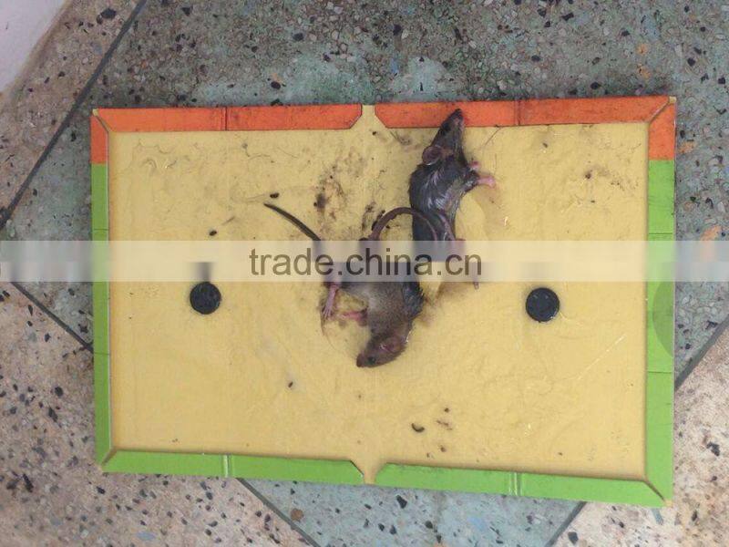 THE TOP SALES RAT GLUE TRAP