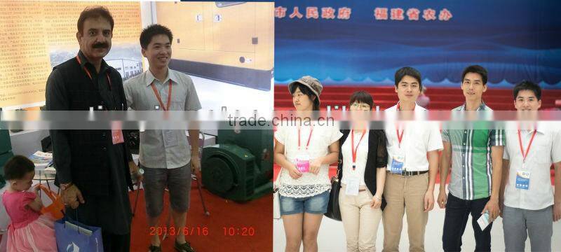 ST 15kw Brush Alternator Single Phase Generator