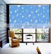Sunscreen Roller Blind for Home Decro