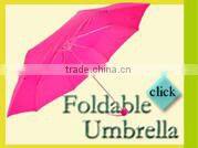 POE Automatic child umbrella,animal cat umbrella,lovely cat umbrella