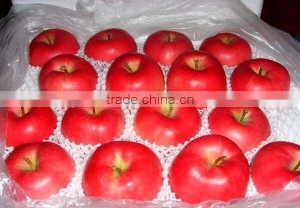 Apple plastic EPE foam net