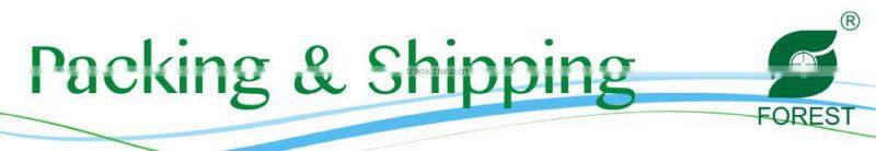 HIGH QUALITY CUTE APPLE PACKAGING BOX/ APPLE PAPER BOX